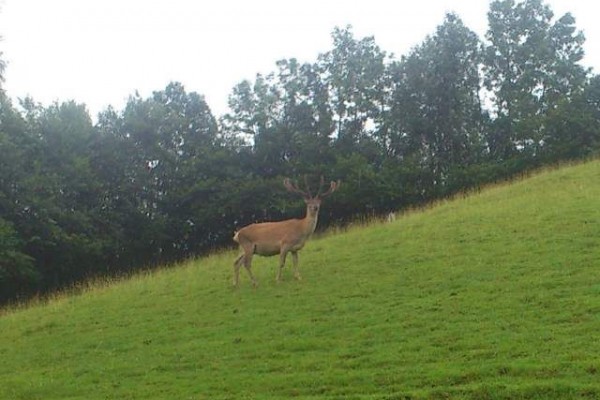 077 dierenpark